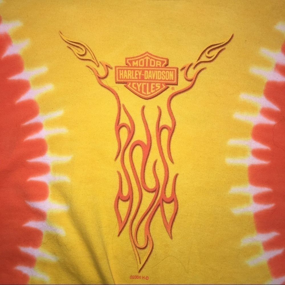 Y2K Harley-Davidson Flame Tee | Fitted Baby Tee Biker Graphic · Virginia Beach - Picture 3 of 7